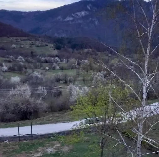 Хотел варненци